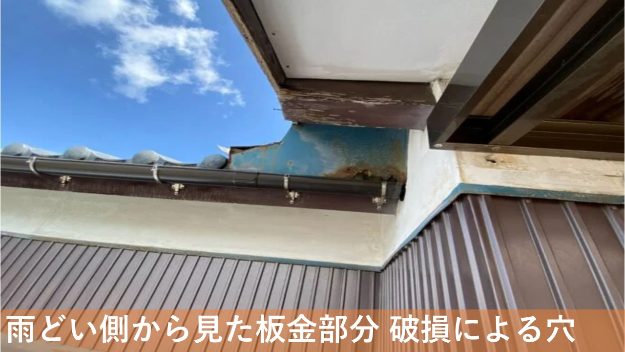 現場調査 屋根 雨どい側