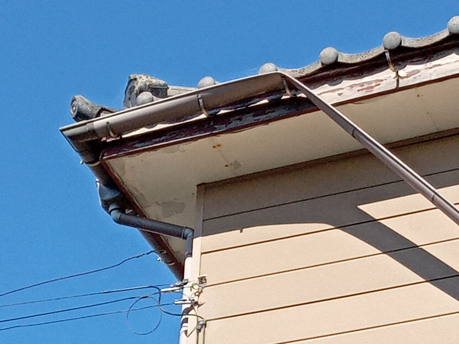 雨樋破損アップ