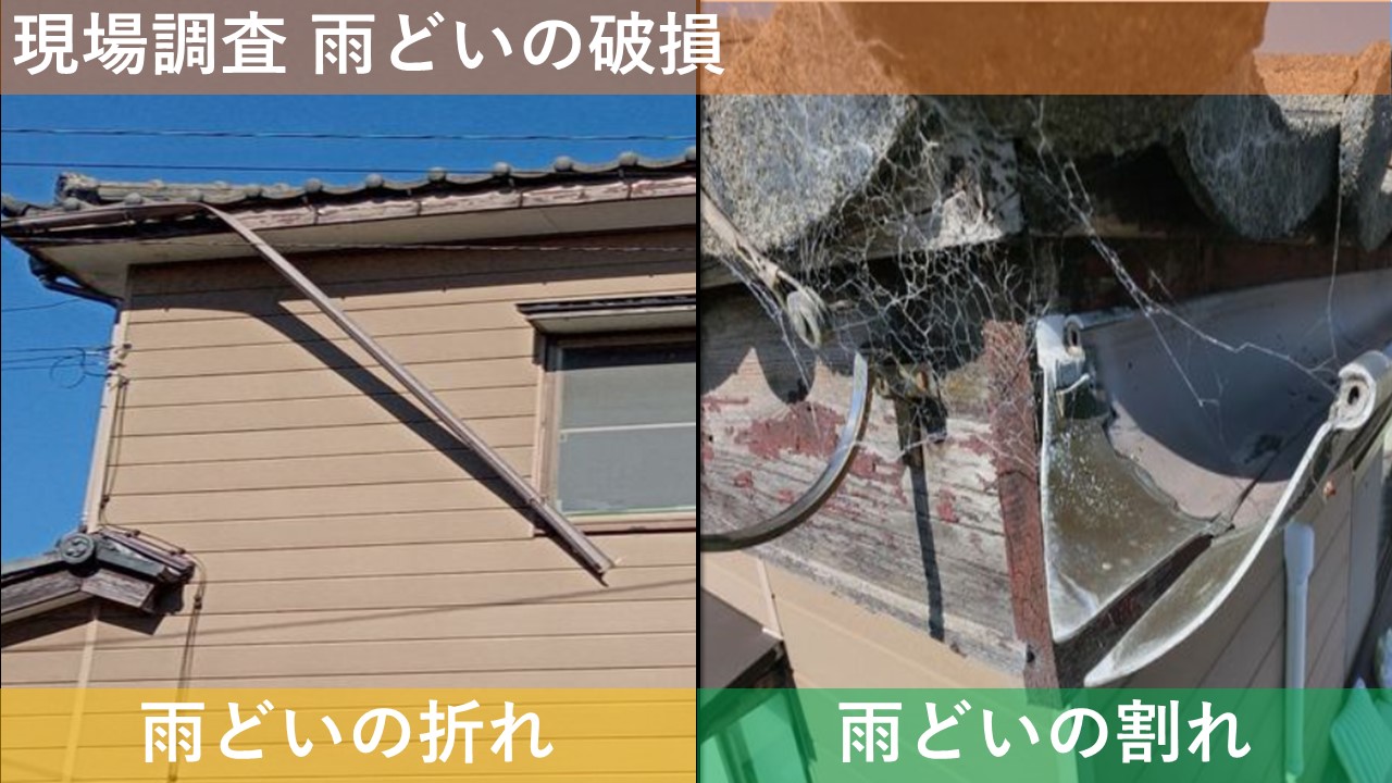 現場調査 雨どいの破損