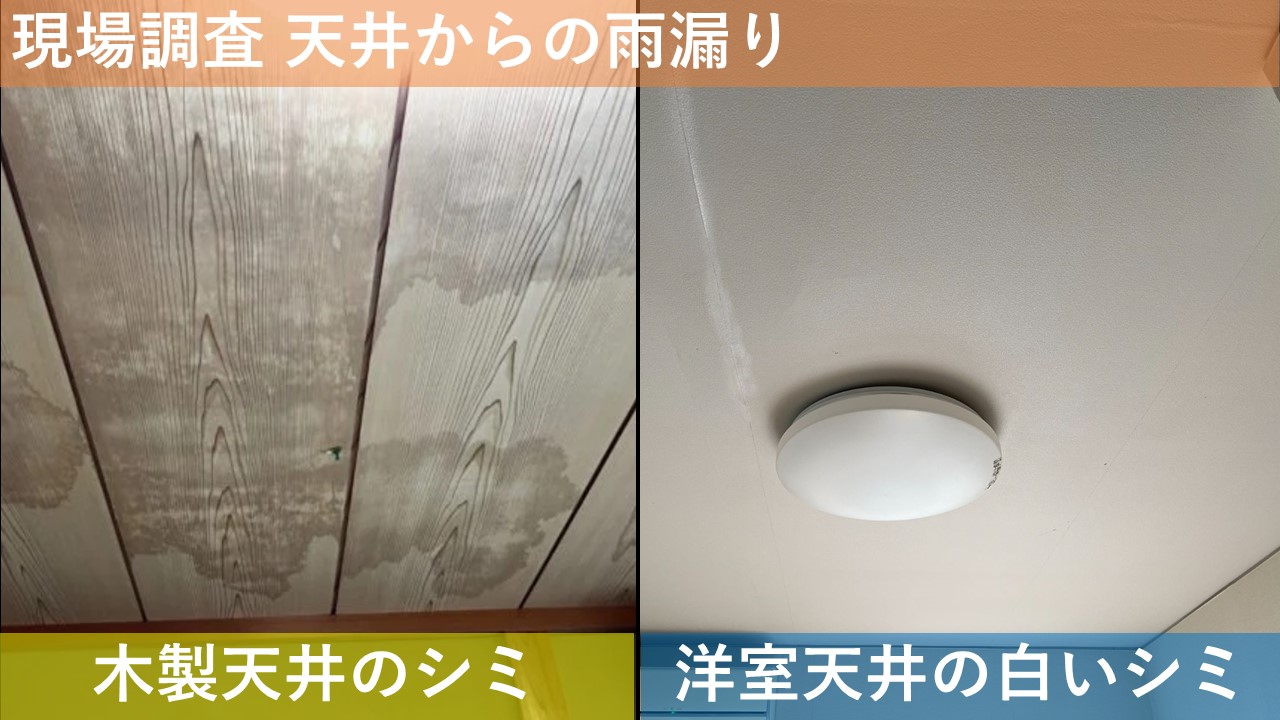 現場調査 天井からの雨漏り