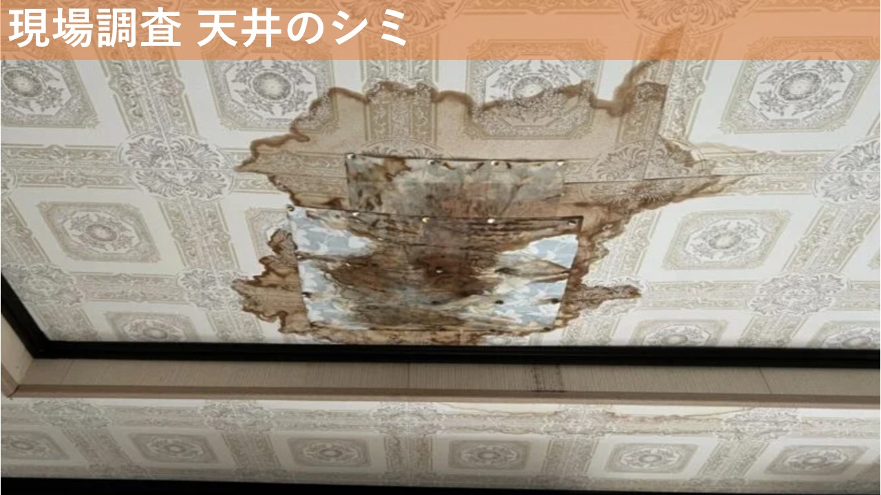 現場調査 天井のシミ