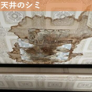 【現場レポート】新潟市北区島見町 A様邸：雨漏り修理工事：現場調査 天井のシミ