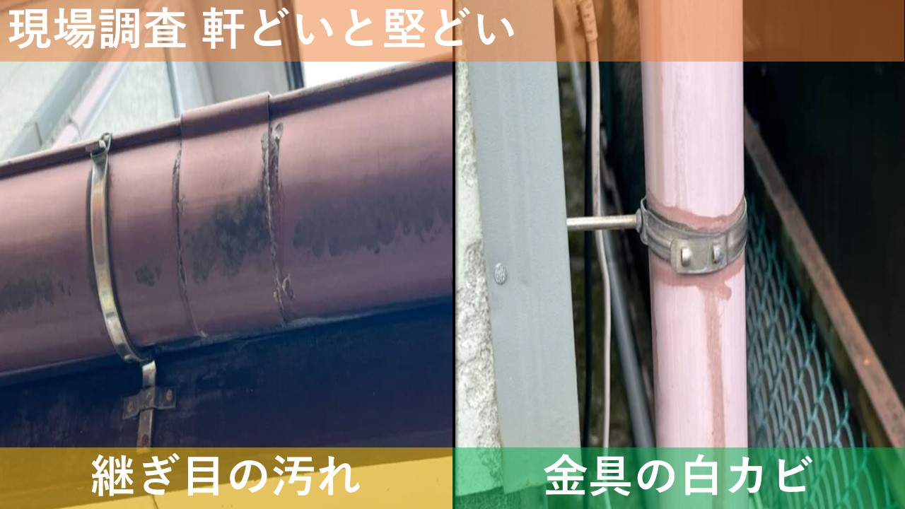 現場調査 軒どいと堅どい