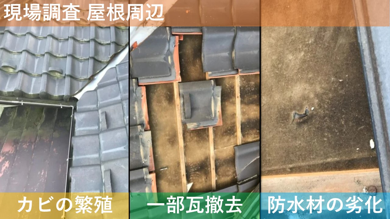 現場調査 屋根周辺
