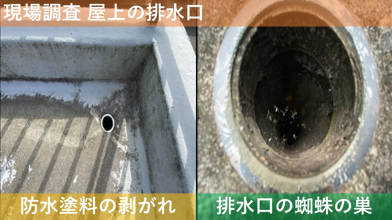 現場調査 屋上の排水口