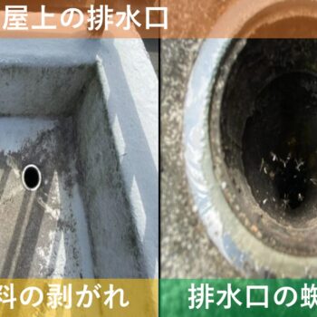 【現場レポート】新潟市秋葉区古田 H様邸：屋上防水工事：現場調査 屋上の排水口