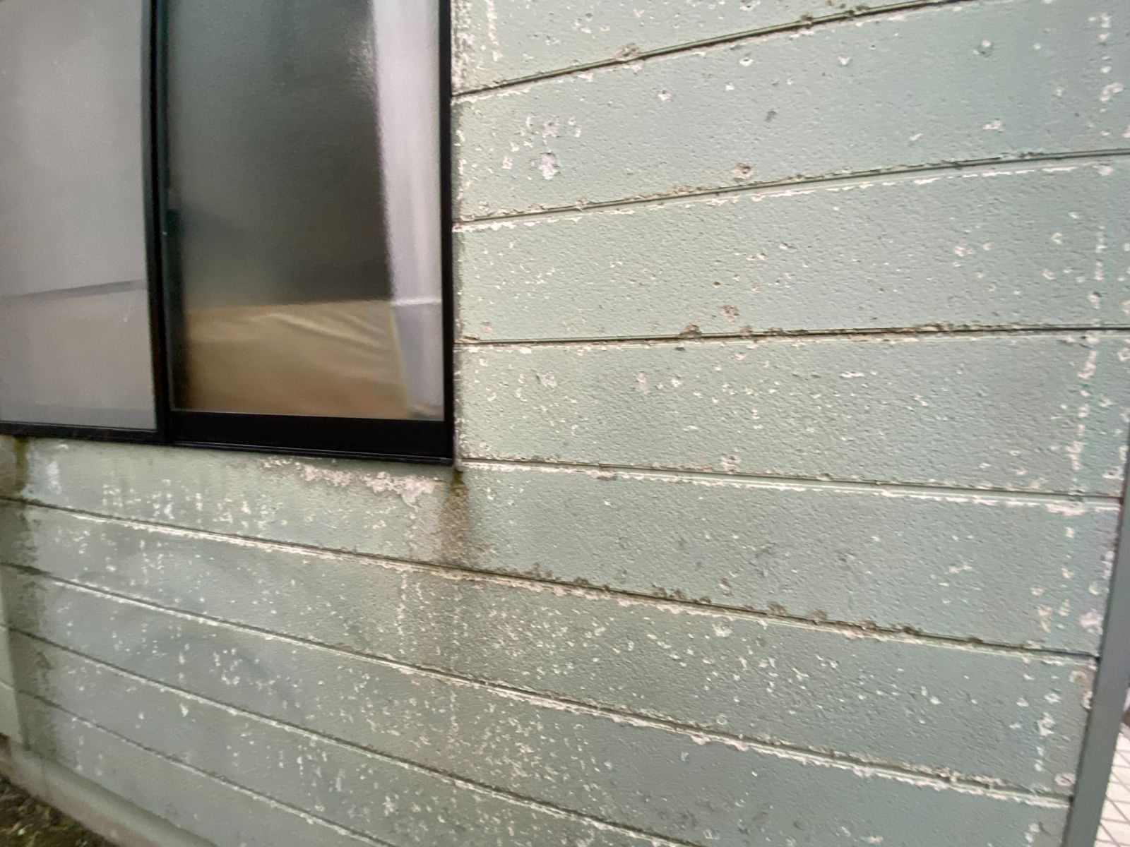 現場調査 外壁の腐食全体