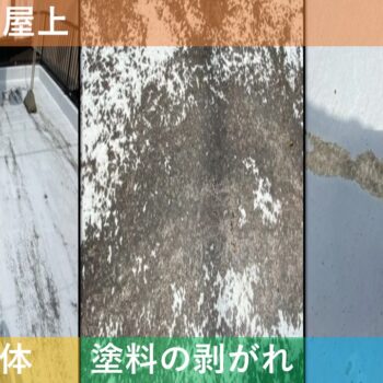 【現場レポート】新潟市秋葉区古田 H様邸：屋上防水工事：現場調査 屋上