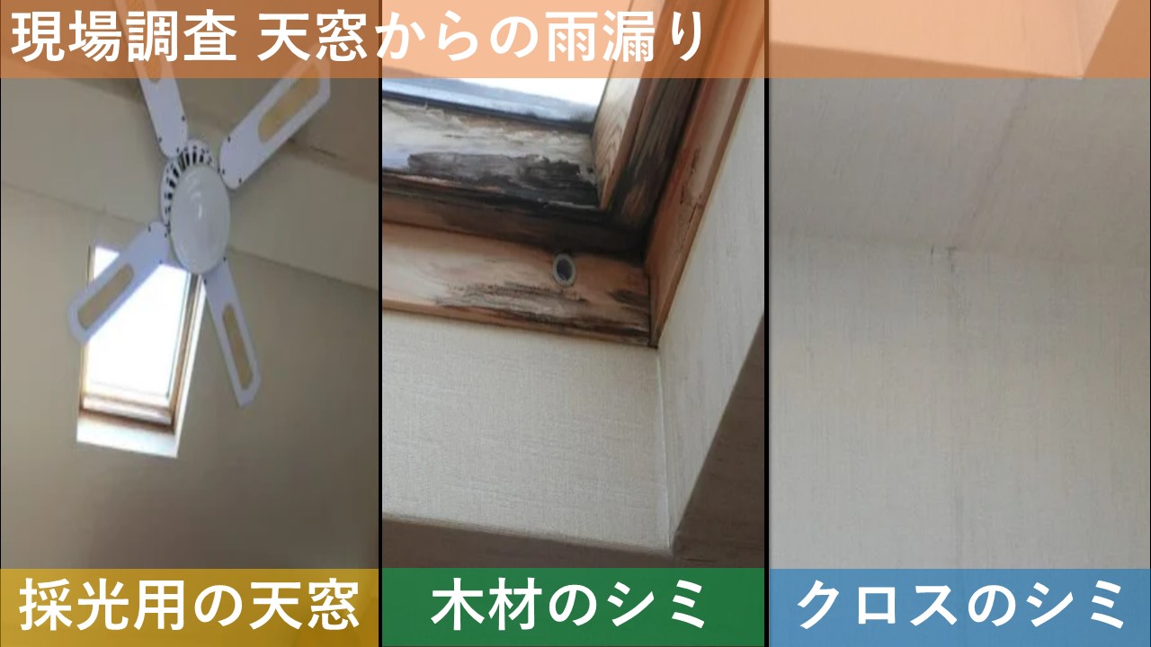 現場調査 天窓からの雨漏り