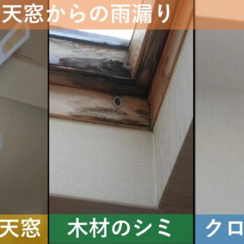【現場レポート1】三条市旭町 W様邸：雨漏り修理工事：天窓からの雨漏り