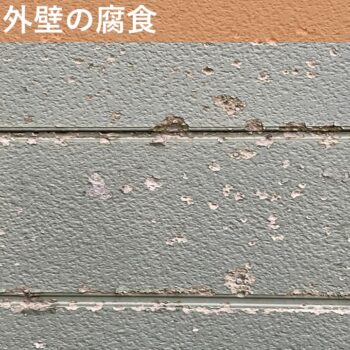 【現場レポート】新潟市北区美里 T様邸：外壁からの雨漏り修繕工事：現場調査 外壁の腐食