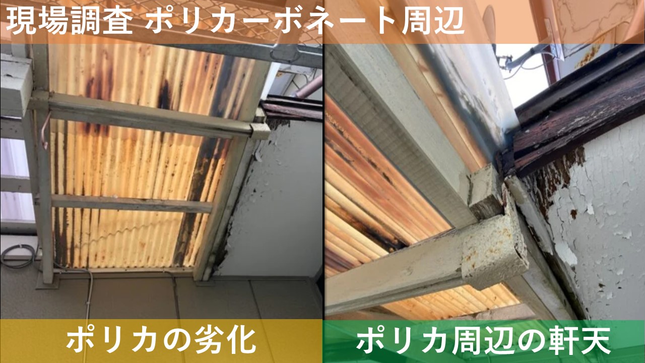 現場調査 ポリカーボネート周辺