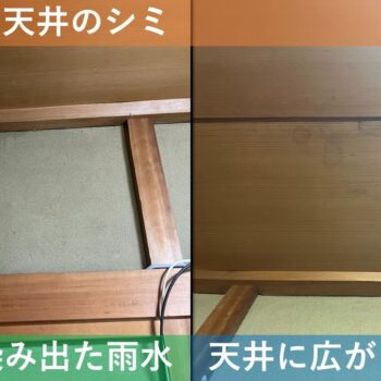【現場レポート1】 新潟市東区大形本町 M様邸：屋根揚げ替え工事・雨漏り修理工事：現場調査 天井のシミ