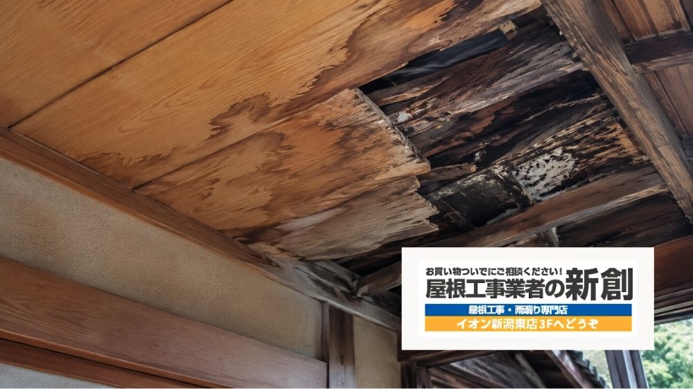 雨漏りの原因と必要な修理を確認したい方は屋根工事業者の新創へ