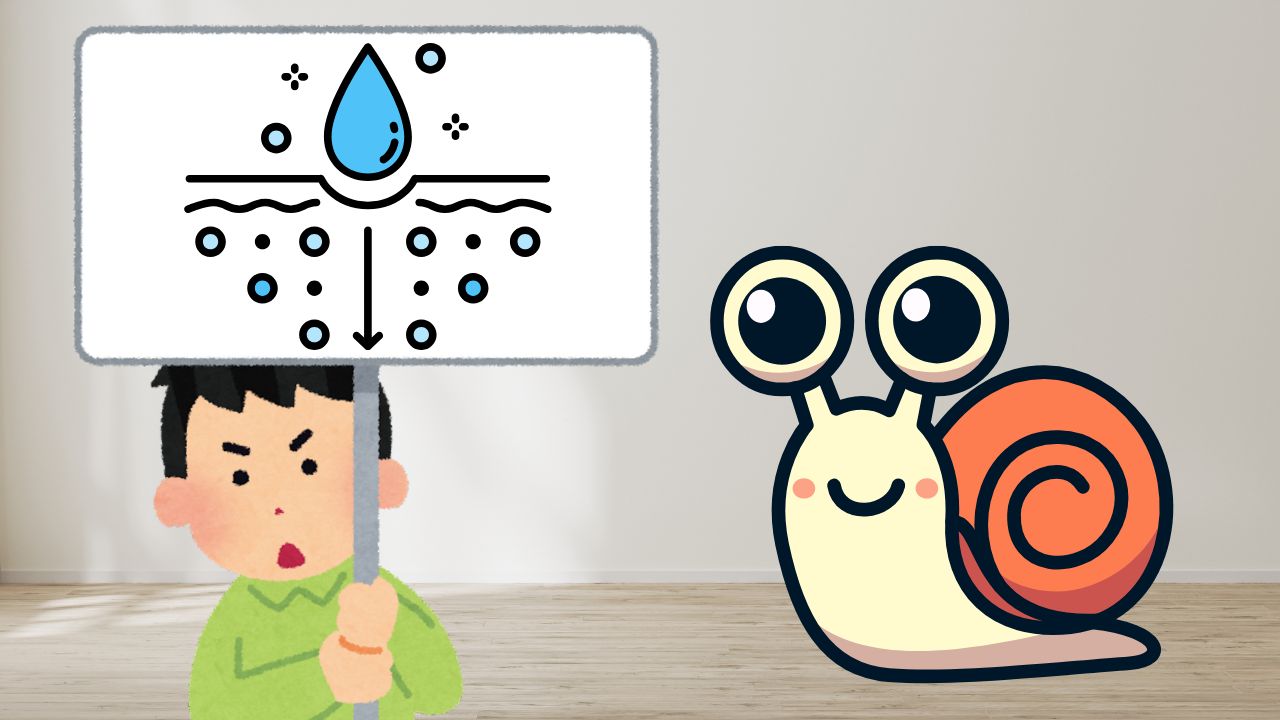 カタツムリが室内に？それは湿気のサインかもしれません
