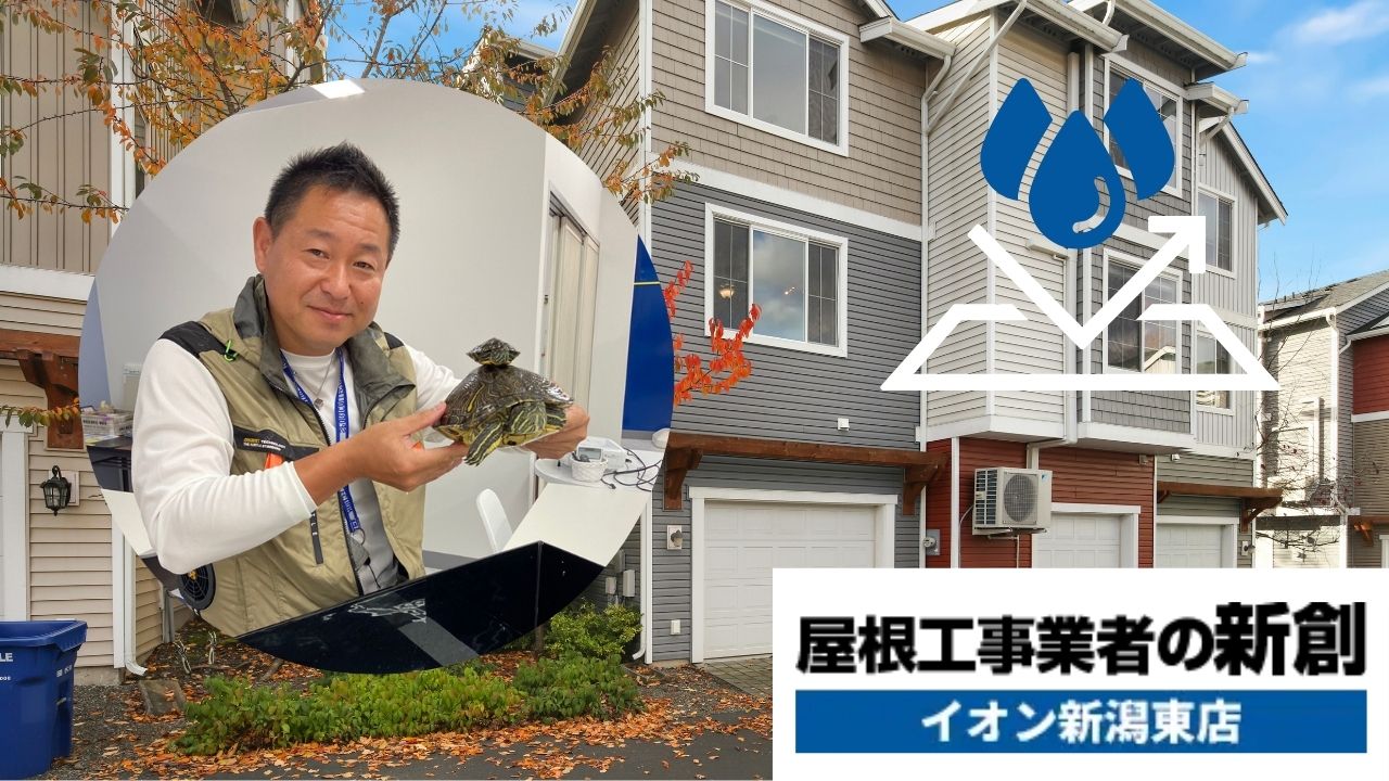 外壁の防水層でお悩みなら屋根工事業者の新創へ！最適な修理と安心サポートをご提案