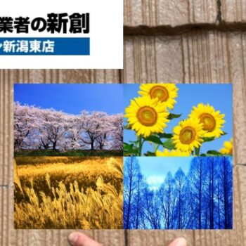 屋根修理のタイミングと目安｜春・秋が最適？劣化症状から判断する方法