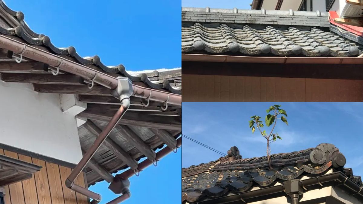 屋根からの雨漏りの主な原因