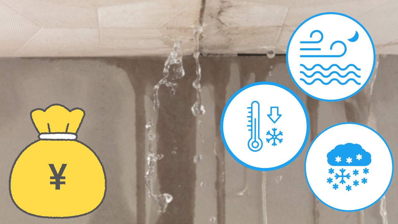 新潟市で多い雨漏りの原因と修理費用の帯|積雪・凍害・塩害が重なる地域特性