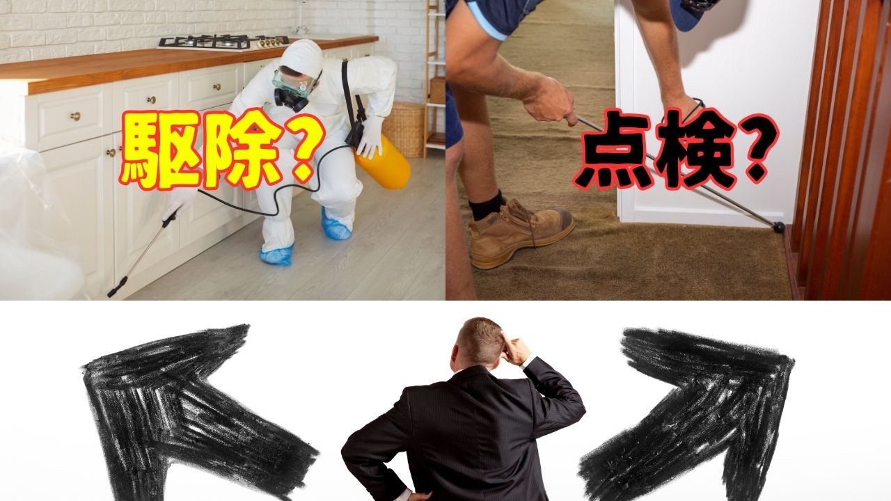 今すぐ駆除?それとも点検?判断を間違えないために
