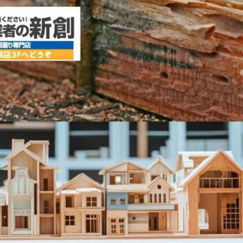 雨漏りとシロアリは無関係ではありません｜木造住宅で同時に起きる本当の理由