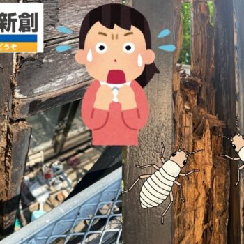 柱・土台がやられていたら要注意｜木造住宅のシロアリ修繕ガイド