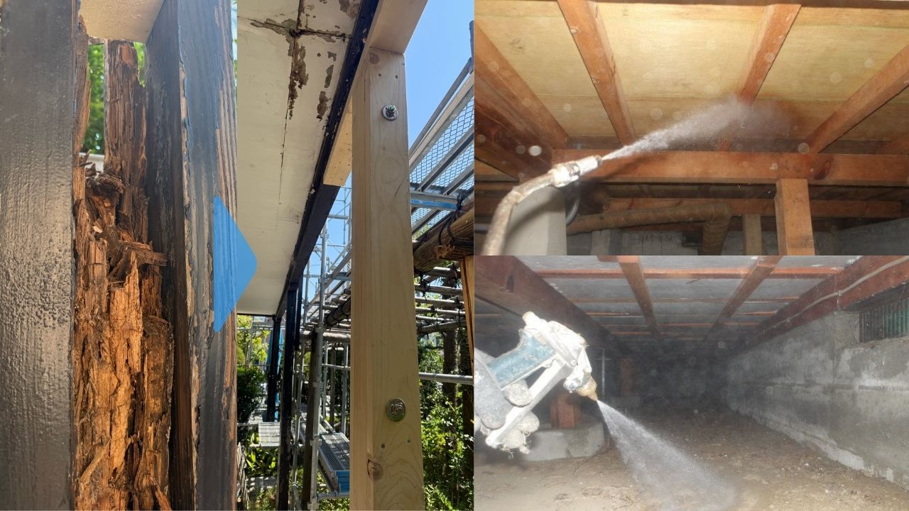 シロアリ修繕にかかる費用と工事範囲の目安