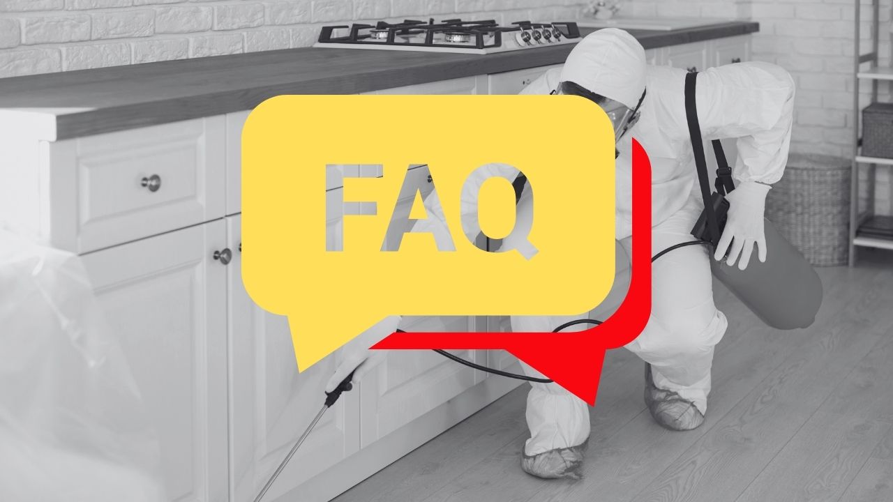 FAQ｜シロアリ駆除費用新潟市でよくある疑問