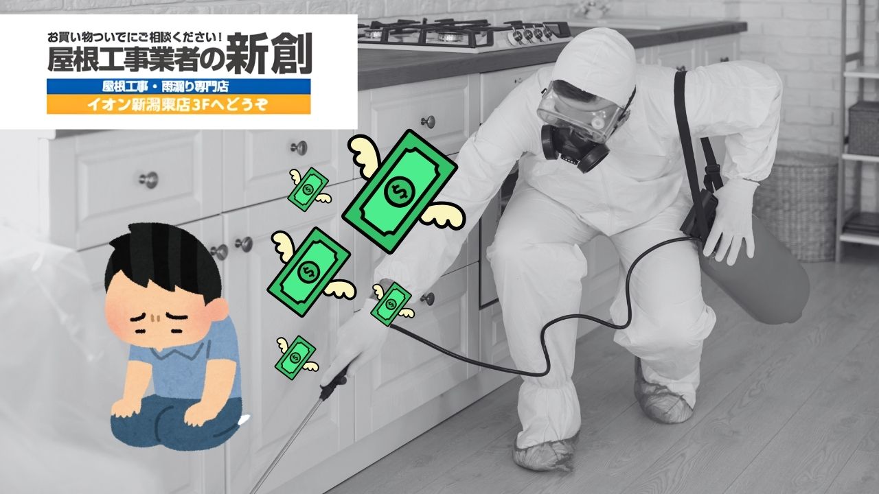 新潟市でシロアリ駆除を検討中の方へ｜費用と業者選びで後悔しないために