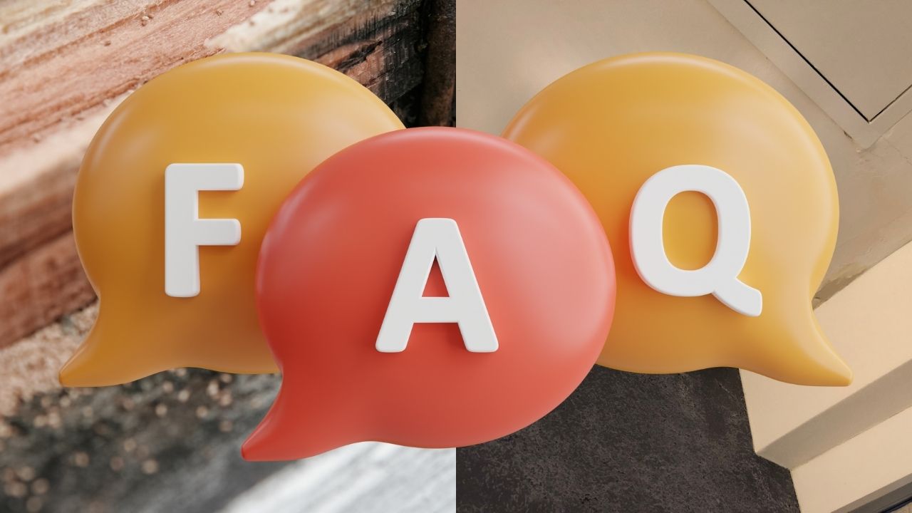 FAQ|雨漏りとシロアリの関係でよくある誤解と疑問