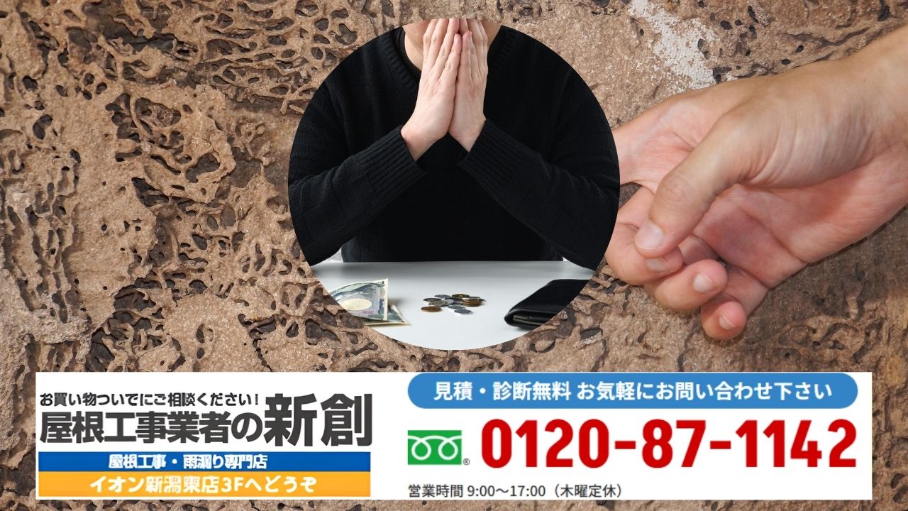 シロアリ駆除費用で迷ったらまず現状確認を｜屋根工事業者の新創