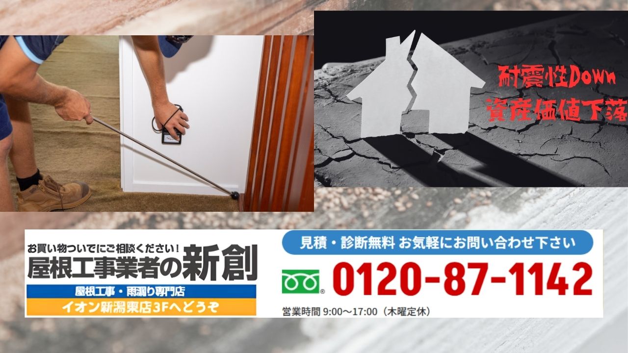 雨漏りとシロアリの不安は早めの点検から|屋根工事業者の新創ができること