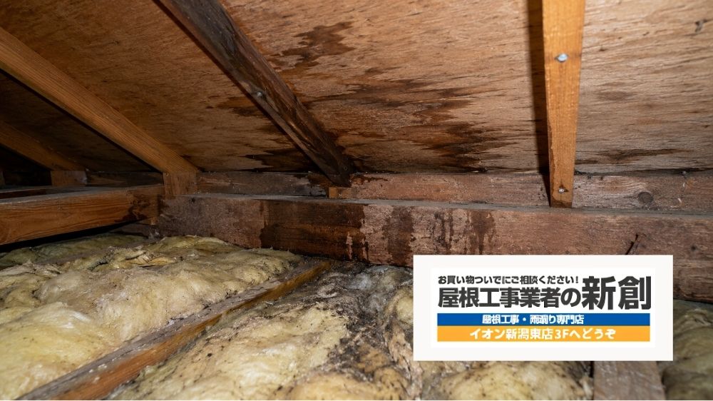 新潟市で天井シミを見つけたら新創へご相談ください
