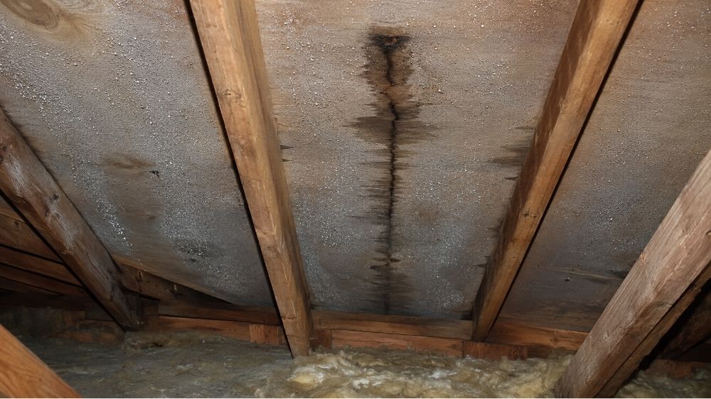 小屋裏調査が必要になりやすい室内症状