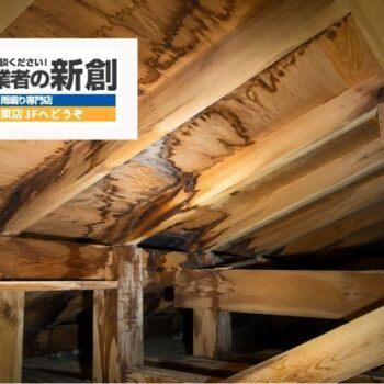 新潟市で雨漏り原因を調べるなら屋根裏・天井裏も確認｜天井シミの真上だけ見ても分からない理由