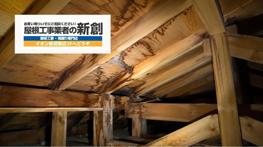 新潟市で雨漏り原因を調べるなら屋根裏・天井裏も確認|天井シミの真上だけ見ても分からない理由